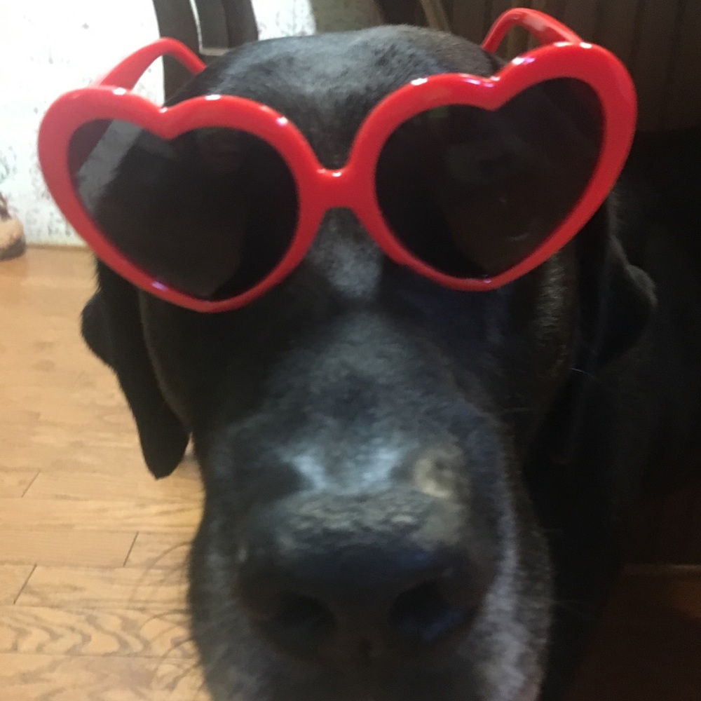 Meet your Posher, Nancy